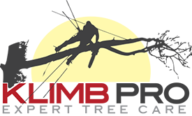 Klimb Pro Expert Tree Care