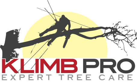 Klimb Pro Logo
